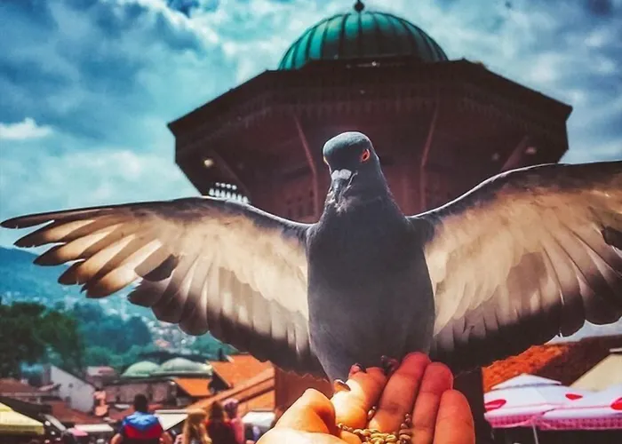 By Marriott Hotel Sarajevo